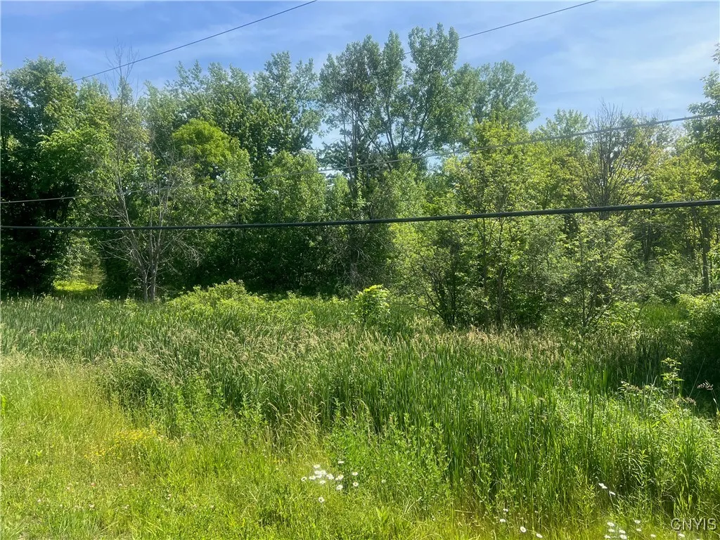 Property at 0 State Route 34 Highway, Ira, NY 13033