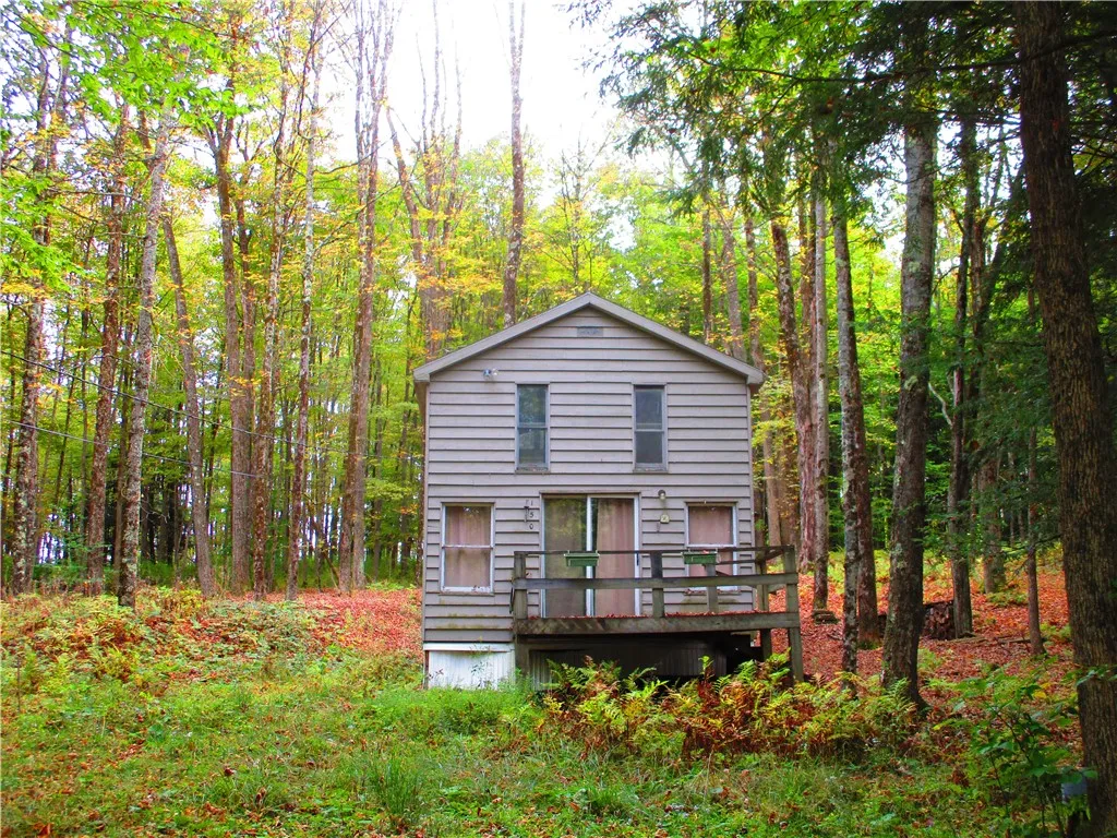 Property at 150 Lakeside Drive, Edmeston, NY 13335