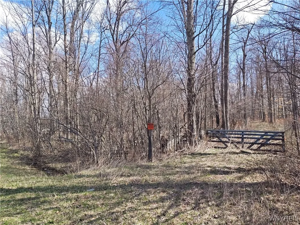 Property at V/L 10 ac South Street Road, Pavilion, NY 14482