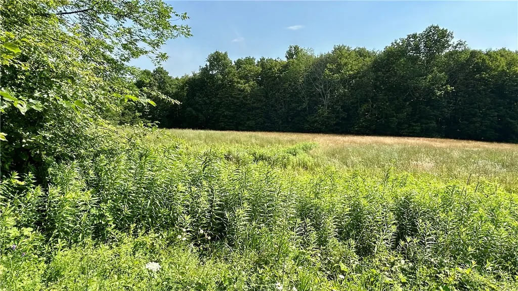 Property at Hamden Hill Road, Delhi, NY 13753