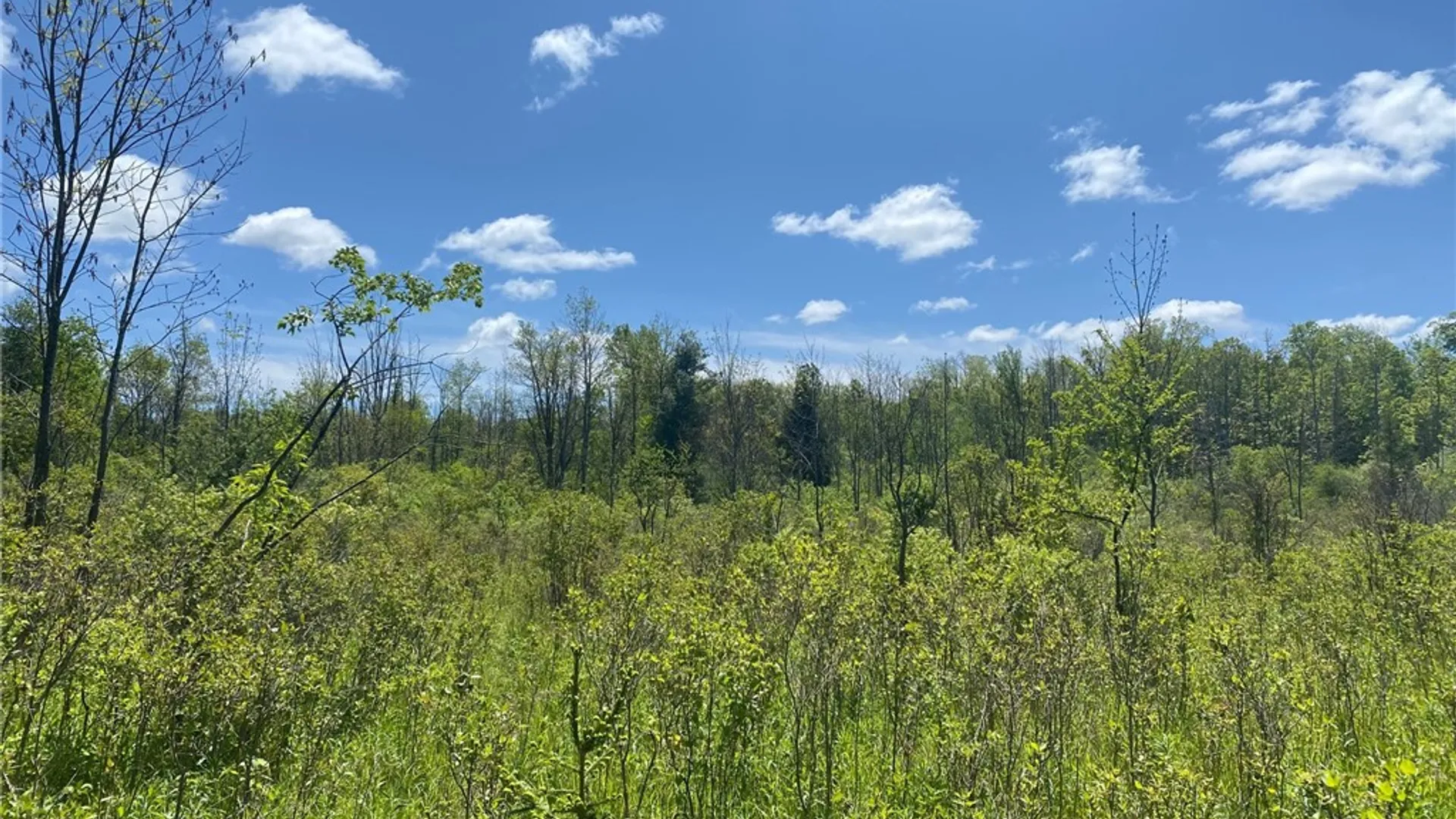 Property at 0 W MILLER Road, Danby, NY 14850 9