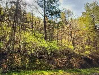 Property at Skyline Drive, Machias, NY 14042