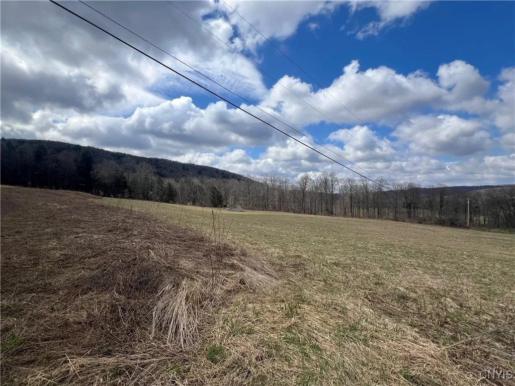 Property at 951 County Road 42, Pharsalia, NY 13155