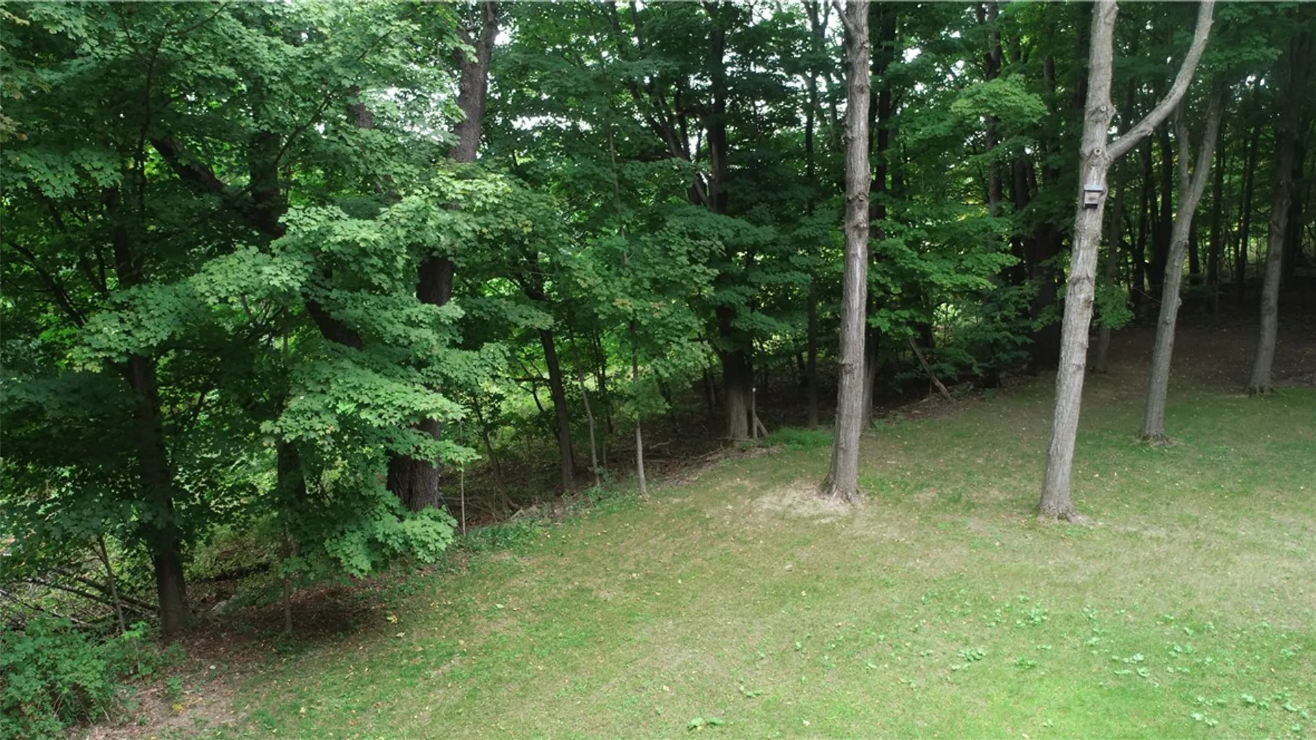 Property at 310 Burke Hill Road, Italy, NY 14873 11