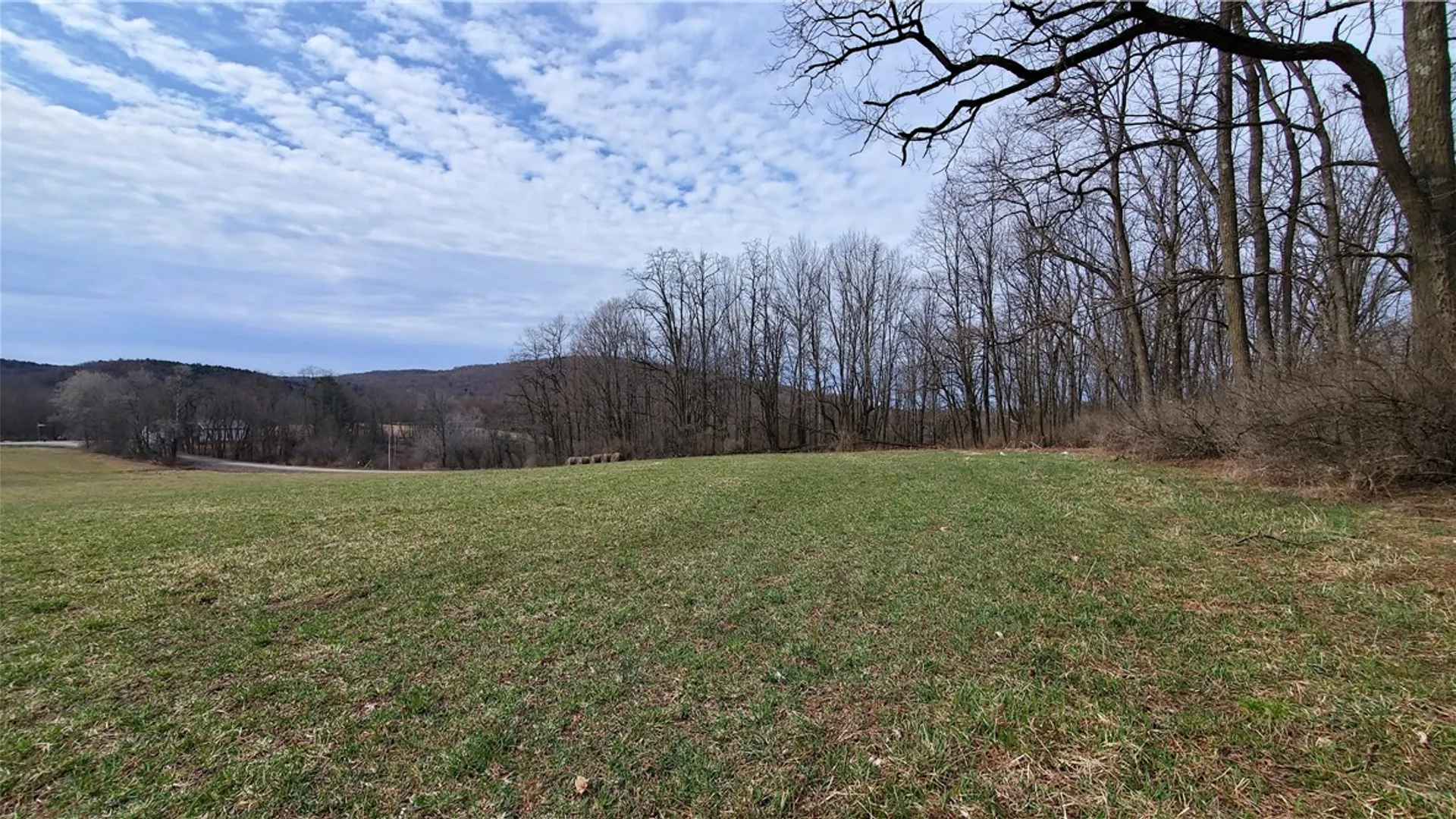 Property at 0 Perkins Road, Hartwick, NY 13348 10
