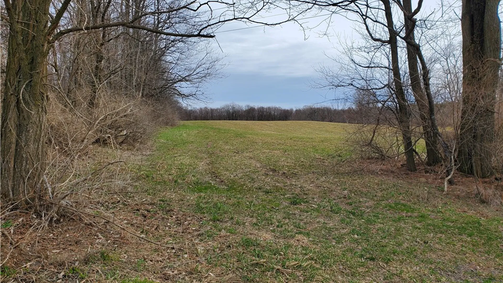 Property at 0 Perkins Road, Hartwick, NY 13348 12
