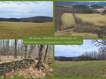 Property at 0 Perkins Road, Hartwick, NY 13348