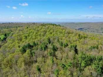 Property at Mill Creek Road, Otego, NY 13825