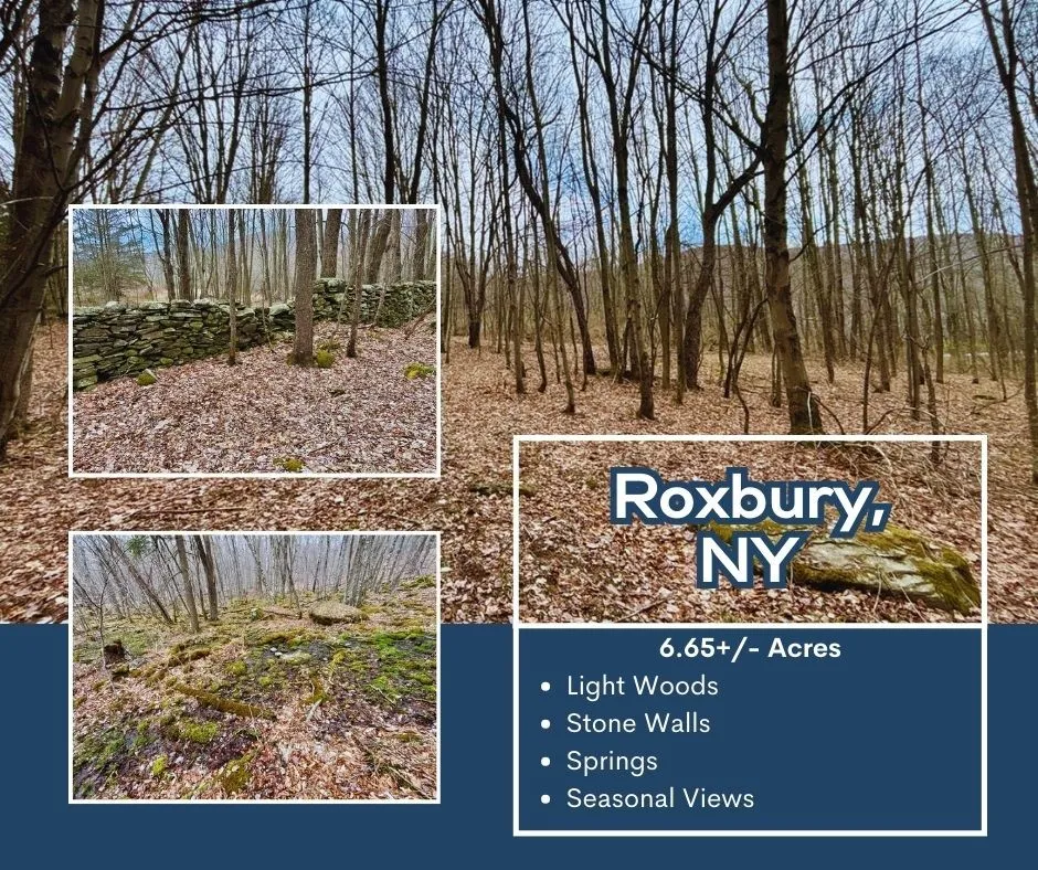 Property at Lot 43 George Lawrence Road, Roxbury, NY 12421
