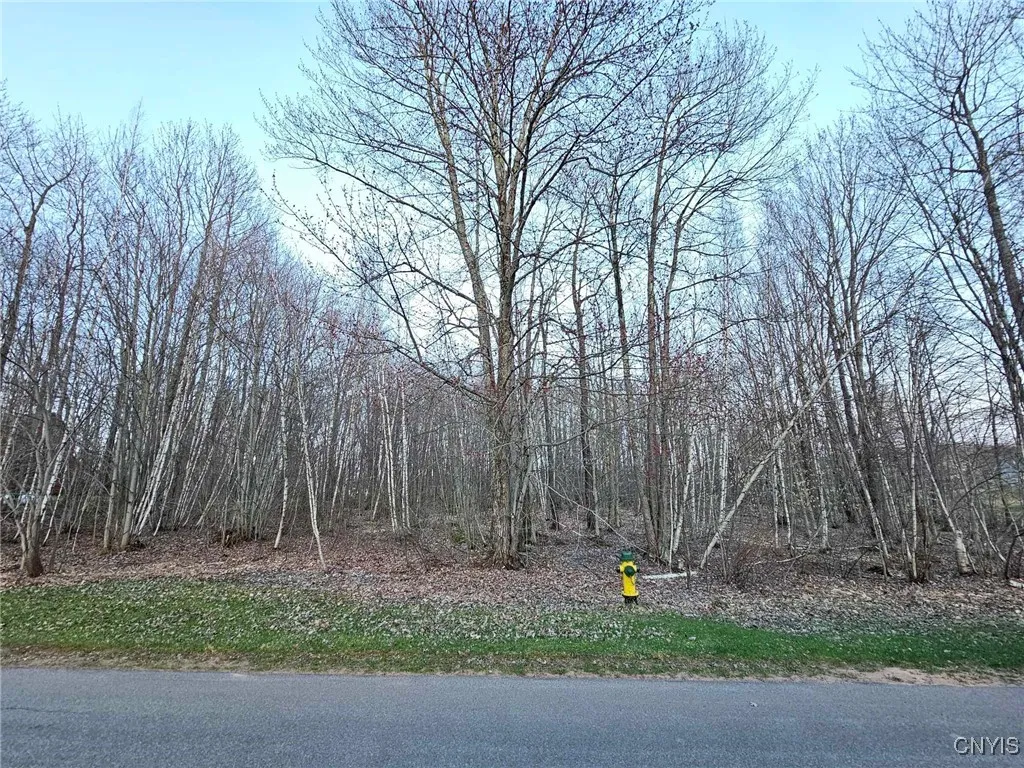 Property at Adrian Circle, Constantia, NY 13044