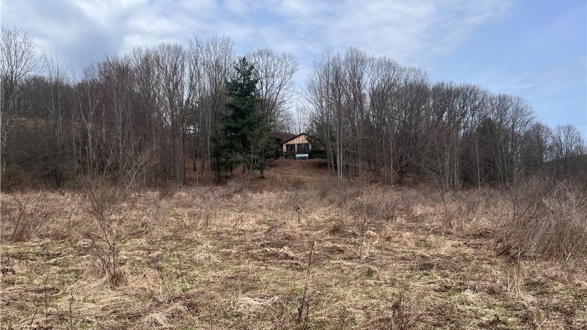 Property at 1972 Monegan Road, Burns, NY 14822 7