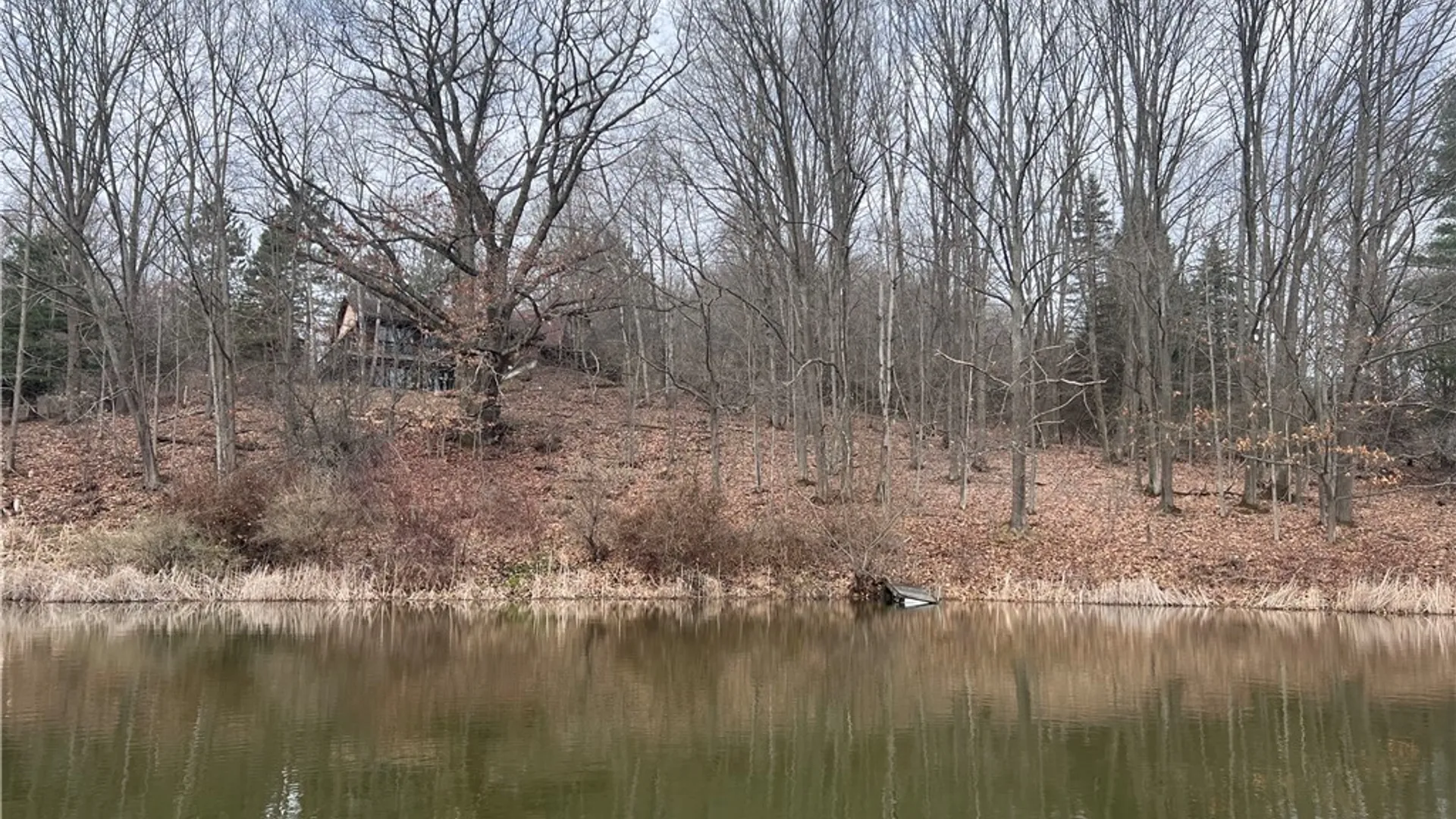 Property at 1972 Monegan Road, Burns, NY 14822 8
