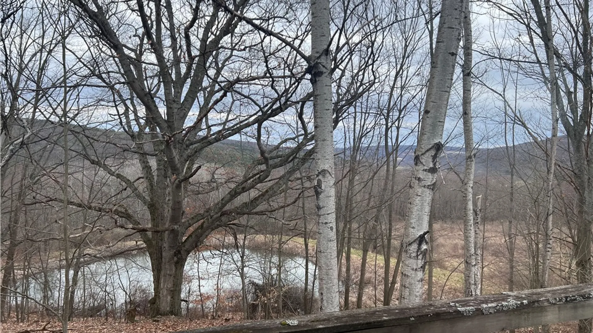 Property at 1972 Monegan Road, Burns, NY 14822 19
