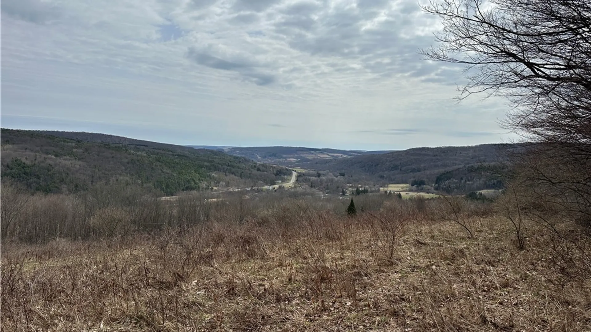 Property at 1972 Monegan Road, Burns, NY 14822 39