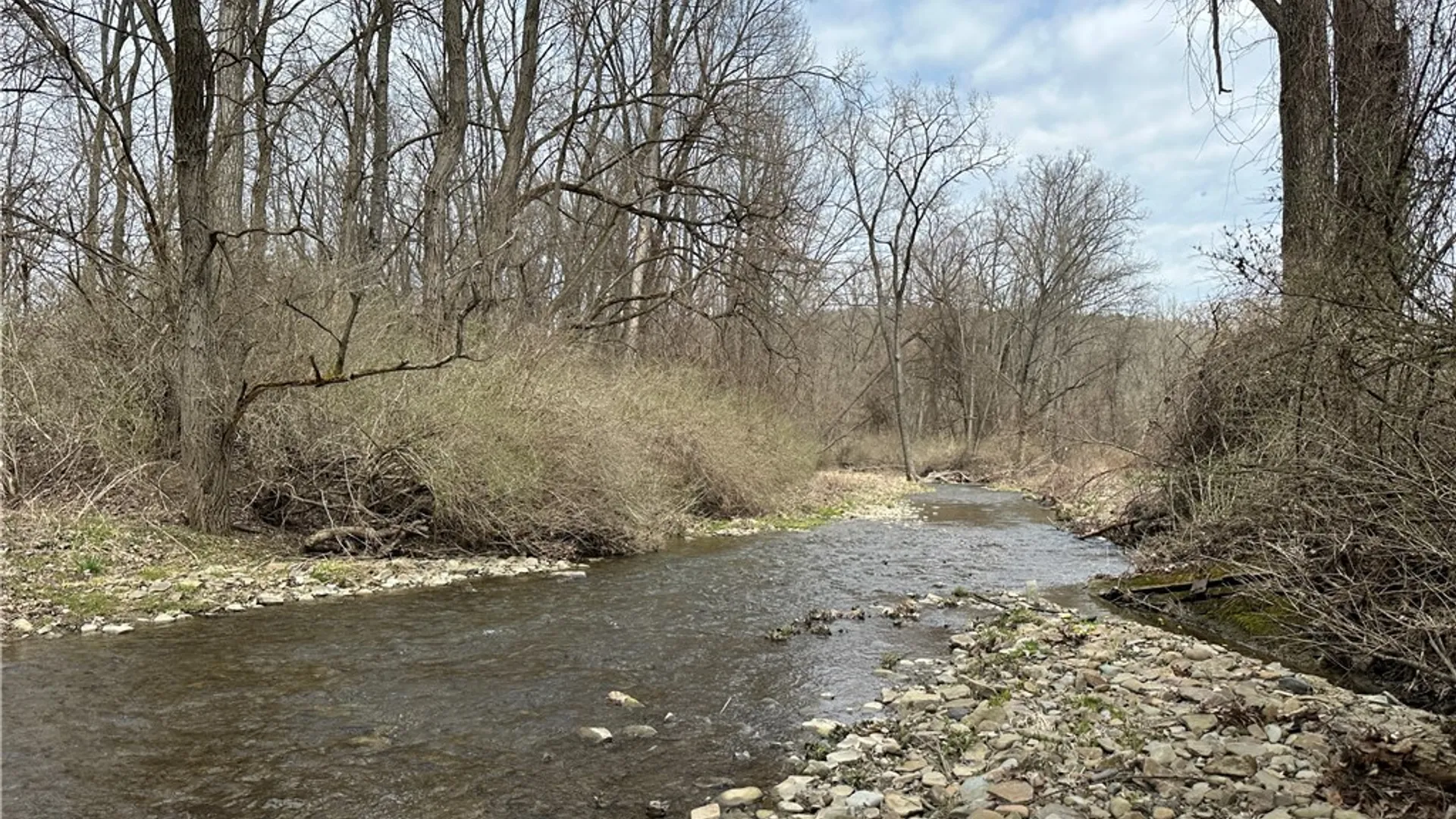Property at 1972 Monegan Road, Burns, NY 14822 40