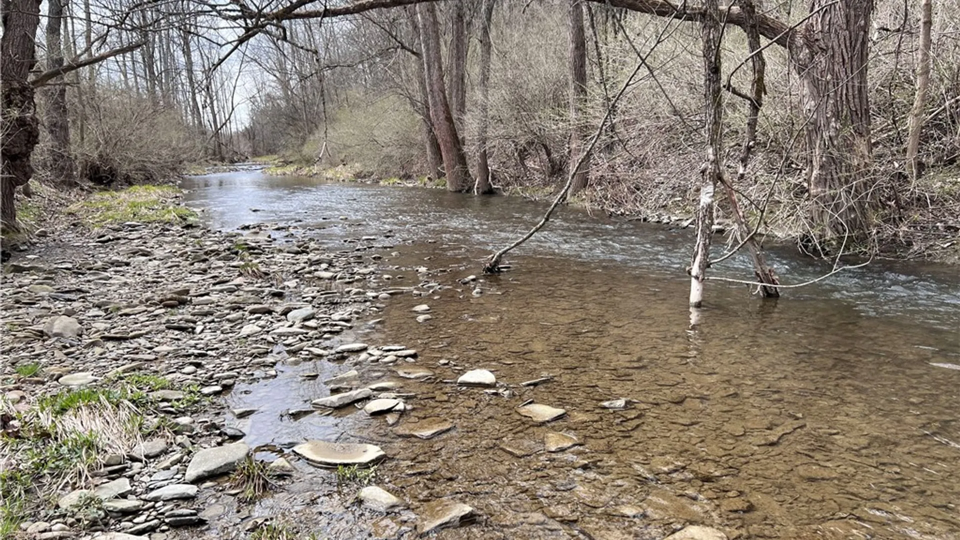 Property at 1972 Monegan Road, Burns, NY 14822 41