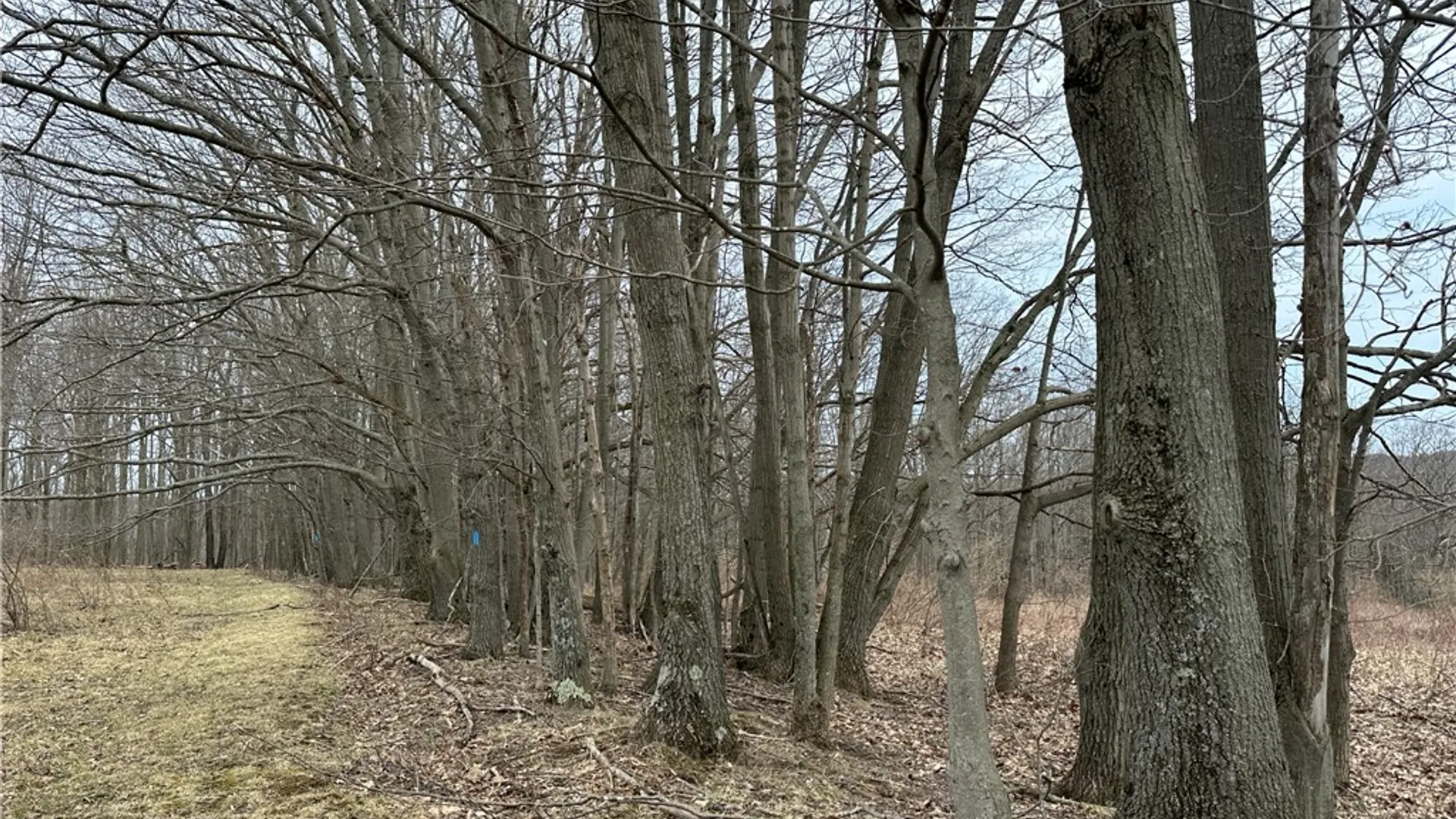 Property at 1972 Monegan Road, Burns, NY 14822 44