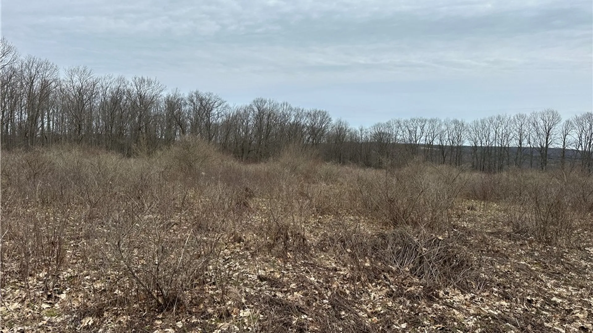 Property at 1972 Monegan Road, Burns, NY 14822 47