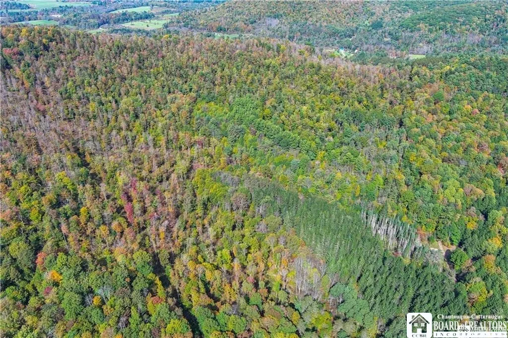 Property at 0 Willow Brook Road, Genesee, NY 14754