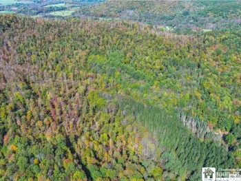 Property at 0 Willow Brook Road, Genesee, NY 14754