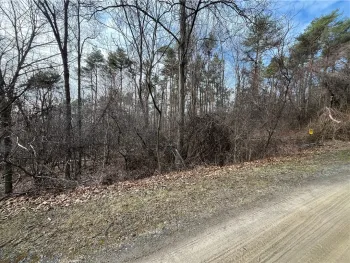 Property at 00 Lane Development, Potter, NY 14527