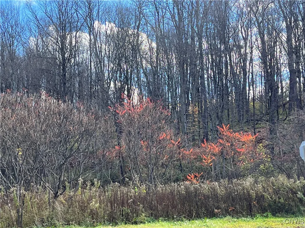 Property at 0000 Nys Route 28, Trenton, NY 13304