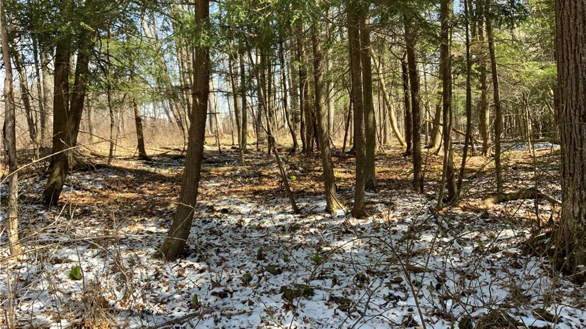 Property at xxx W Dryden Road, Dryden, NY 13068 22
