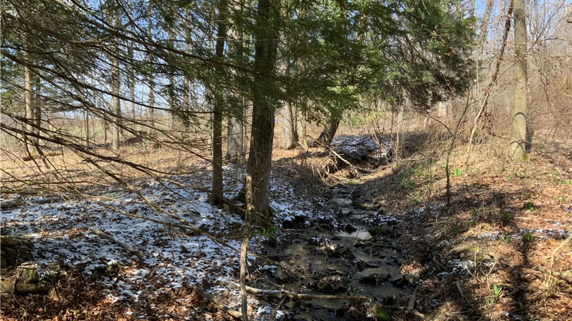 Property at xxx W Dryden Road, Dryden, NY 13068 24