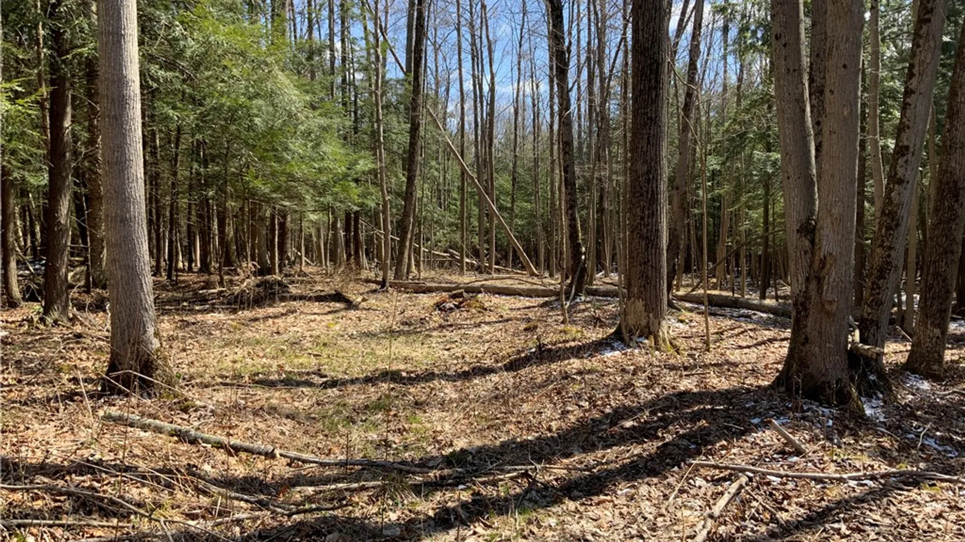 Property at xxx W Dryden Road, Dryden, NY 13068 25