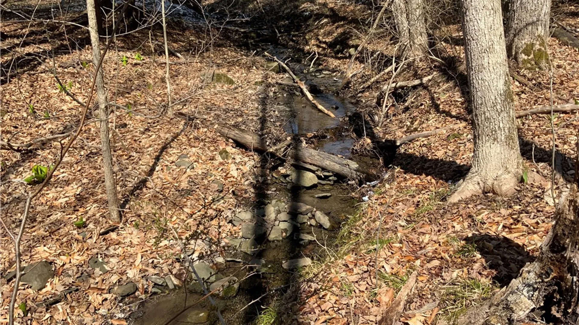 Property at xxx W Dryden Road, Dryden, NY 13068 28