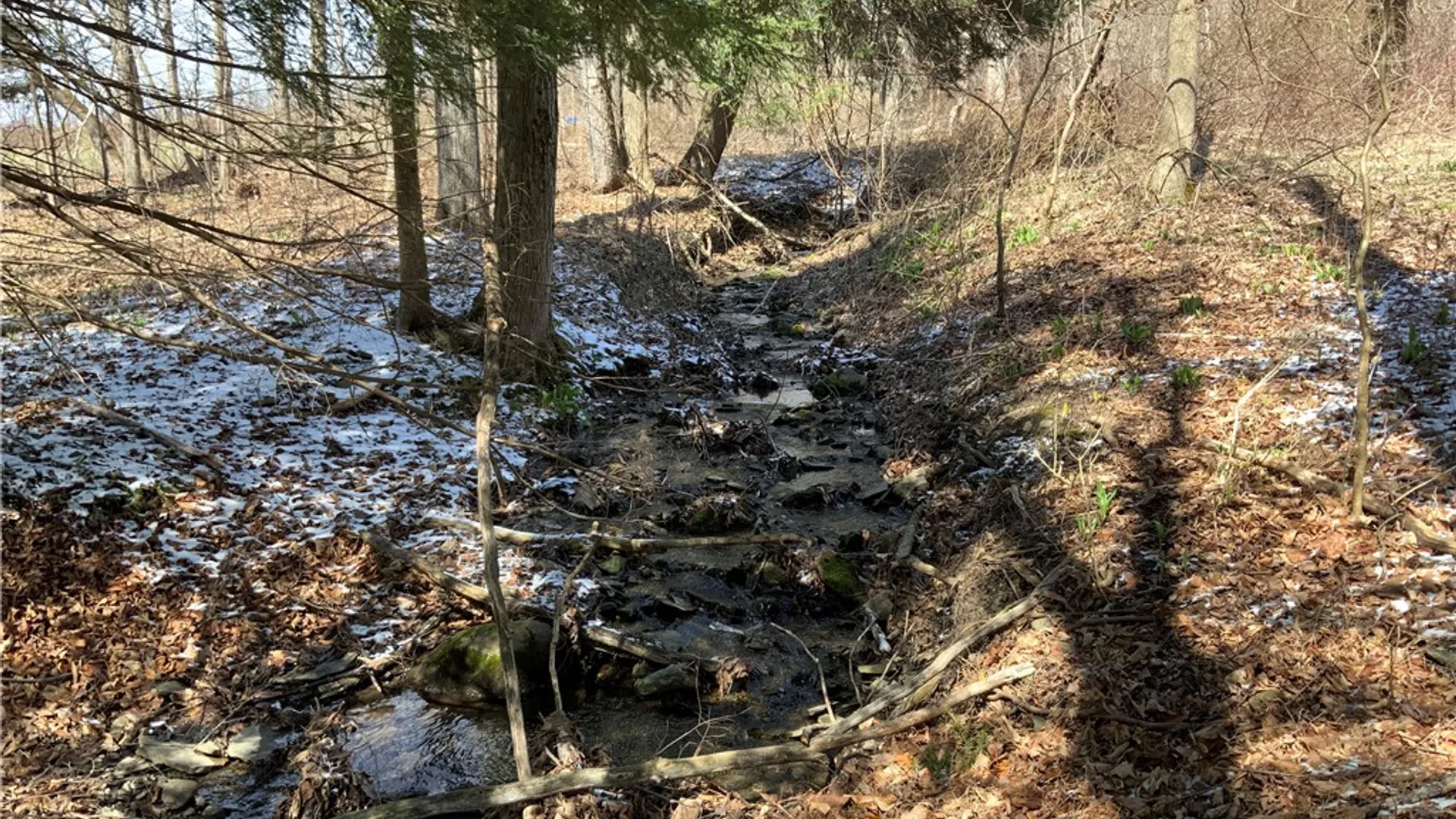 Property at xxx W Dryden Road, Dryden, NY 13068 29