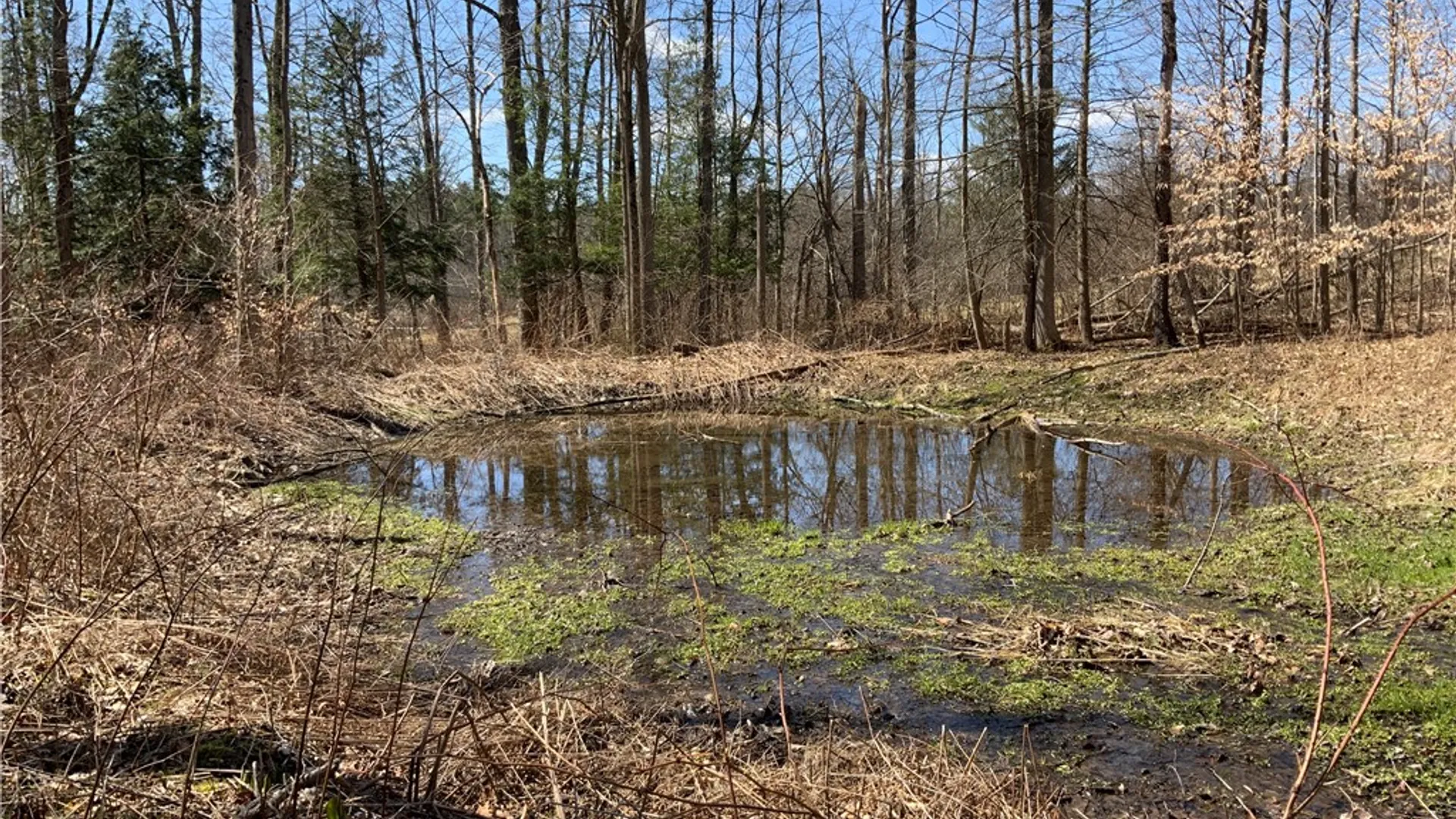 Property at xxx W Dryden Road, Dryden, NY 13068 30