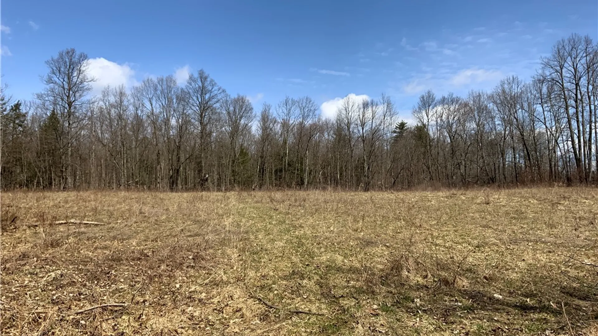 Property at xxx W Dryden Road, Dryden, NY 13068 31