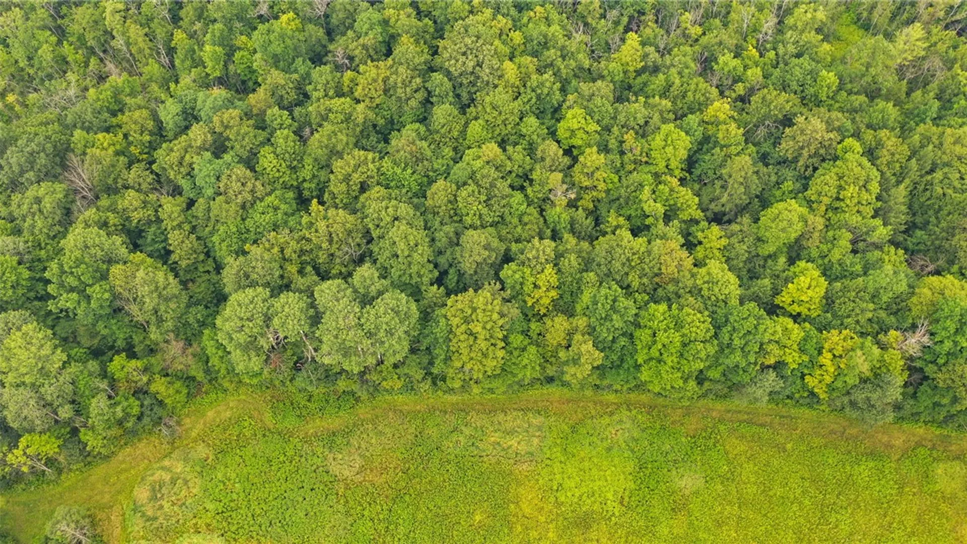 Property at xxx W Dryden Road, Dryden, NY 13068 7