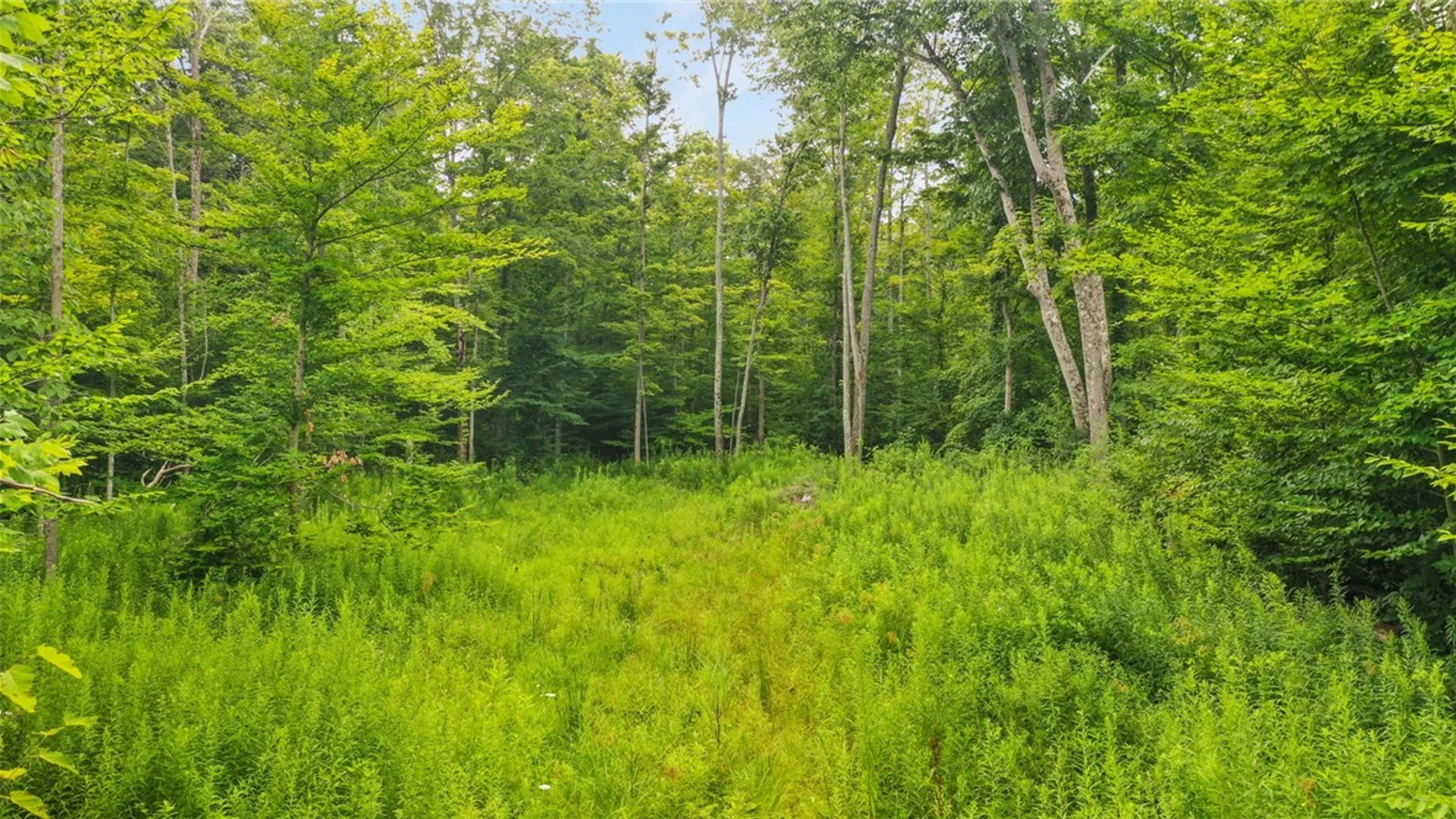 Property at xxx W Dryden Road, Dryden, NY 13068 9