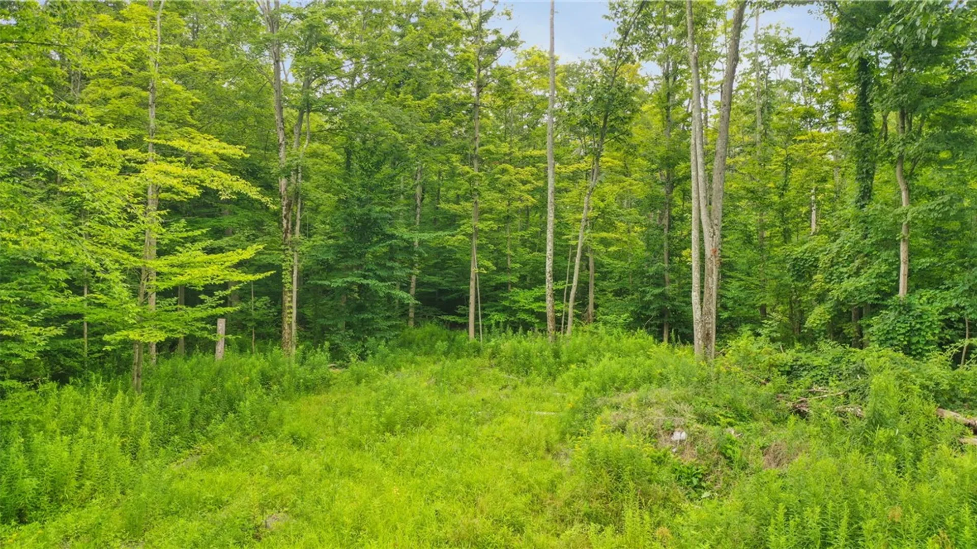 Property at xxx W Dryden Road, Dryden, NY 13068 10