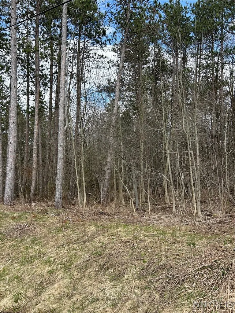Property at Warner Gulf Road, Sardinia, NY 14080