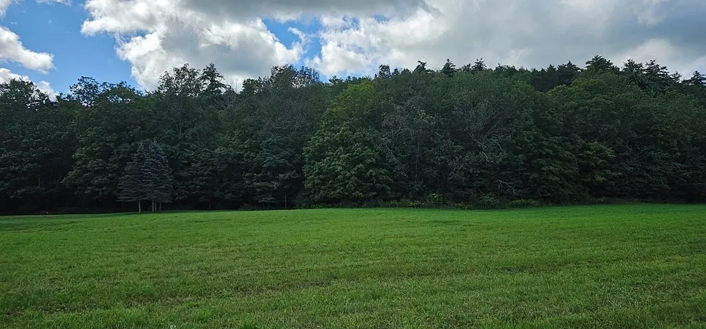Property at 0 MILE LANE Road, Athens Twp, PA 18840