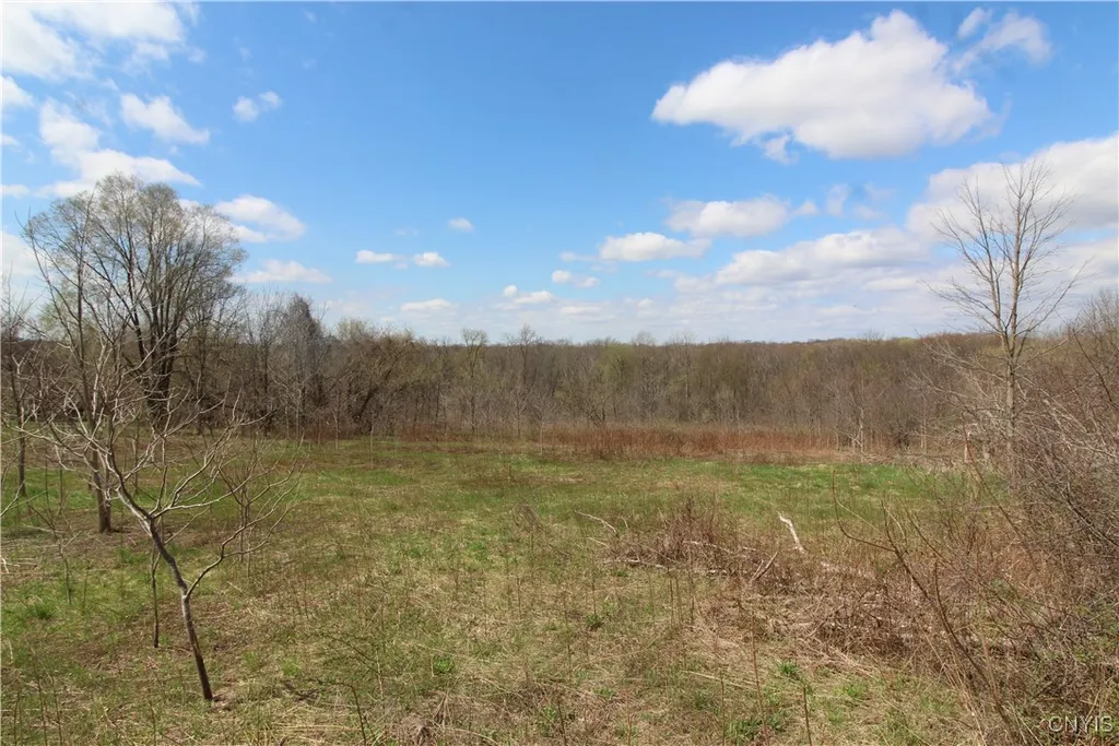 Property at River Road, Elbridge, NY 13080