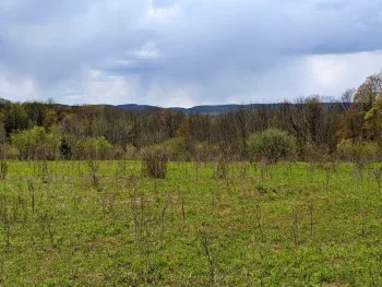 Property at Lot #37.01 County Highway 4, Morris, NY 13808