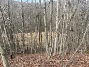 Property at Cr-126, Greenwood, NY 14839