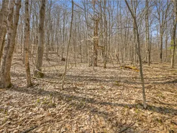 Property at L9.114 Lutheranville Road, Summit, NY 12064