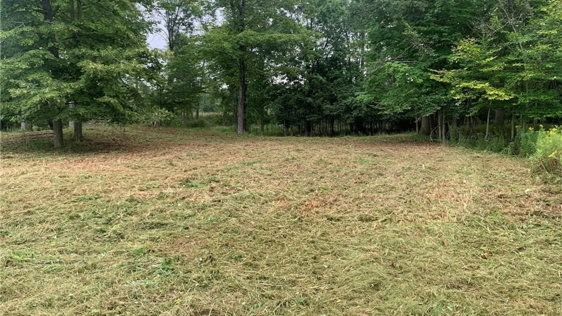 Property at 122 S of Otter Pond Road, Alexandria, NY 13607 3