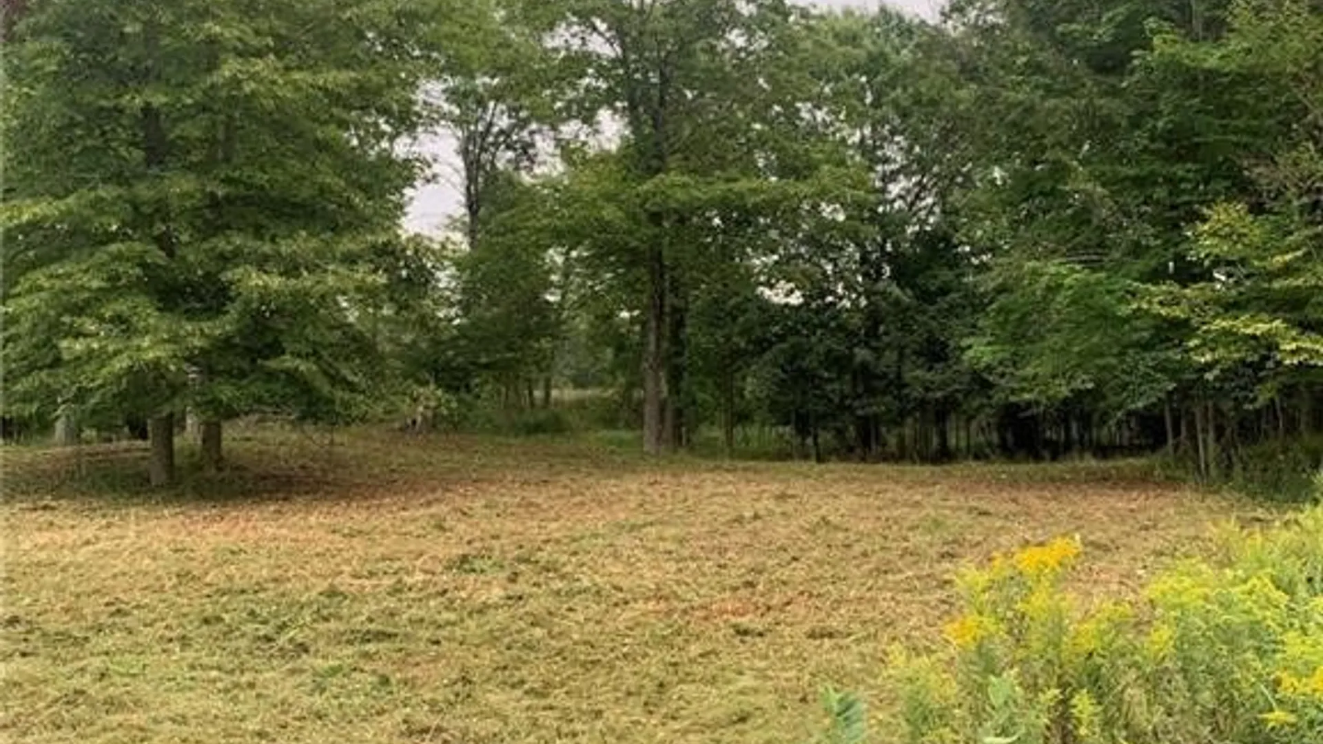 Property at 122 S of Otter Pond Road, Alexandria, NY 13607 6