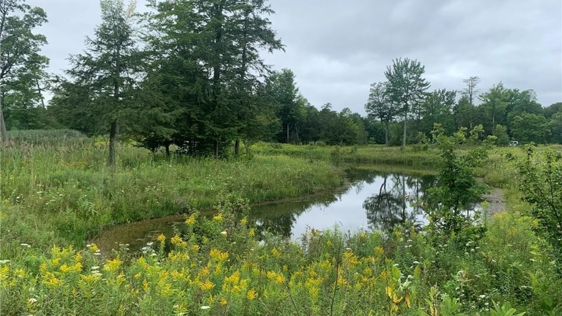 Property at 122 S of Otter Pond Road, Alexandria, NY 13607 17
