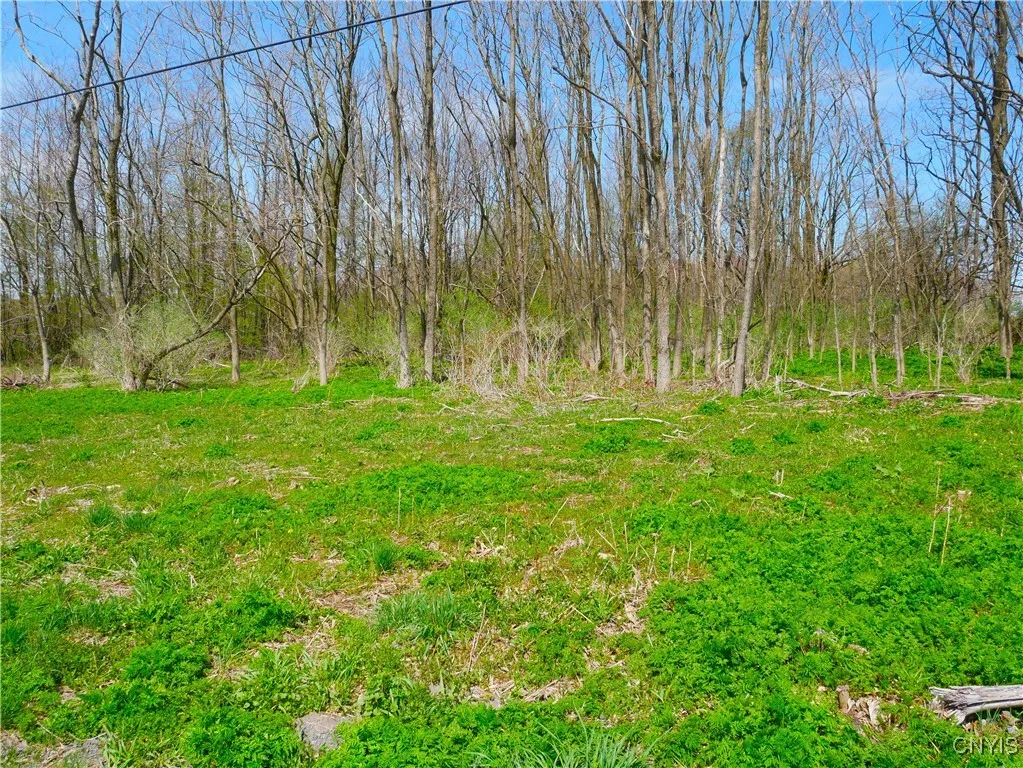 Property at 9151 Bray Road, Paris, NY 13456