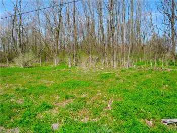 Property at 9151 Bray Road, Paris, NY 13456