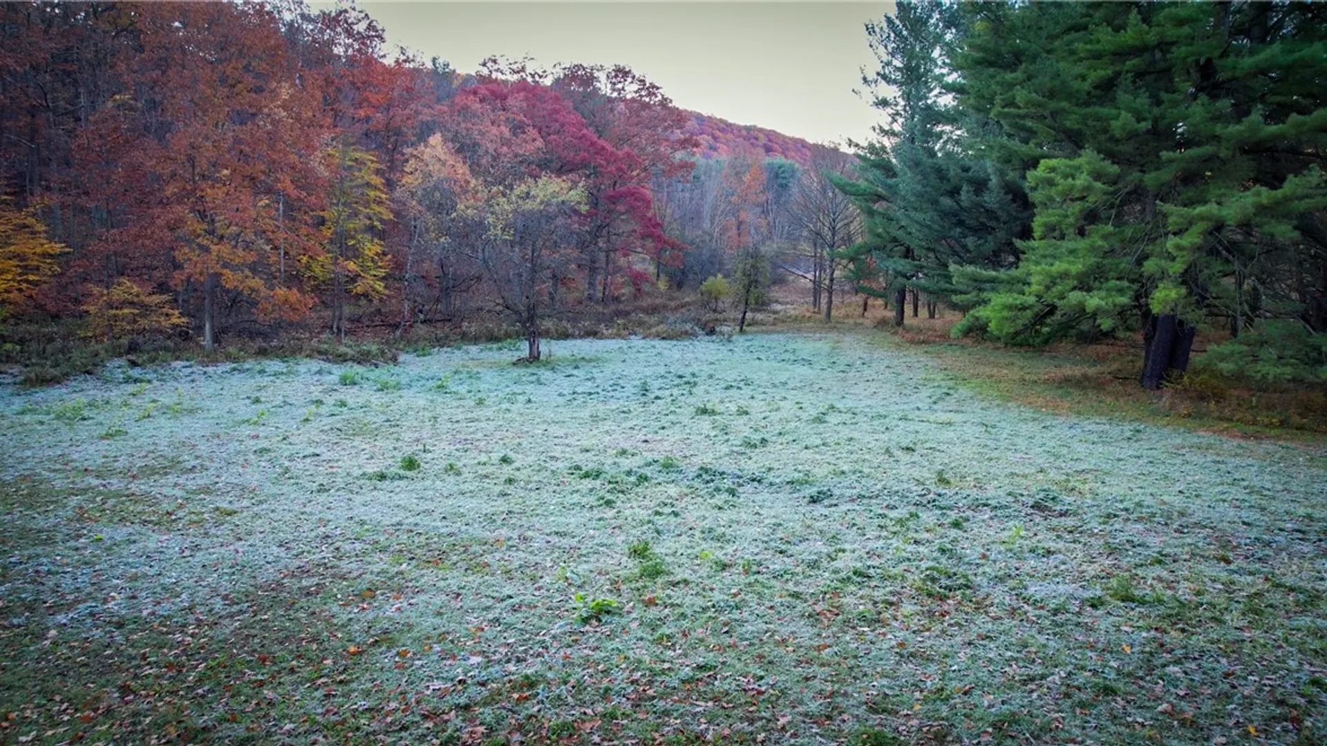 Property at 7667 Hickory Bottom Road, Naples, NY 14512 13
