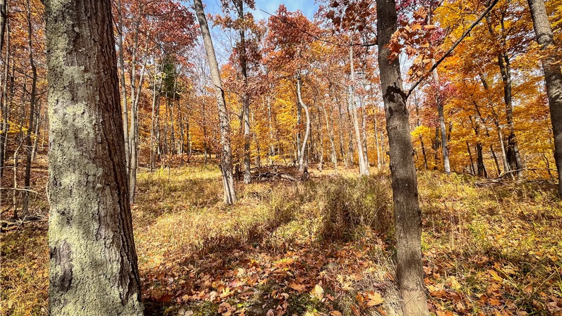Property at 7667 Hickory Bottom Road, Naples, NY 14512 19