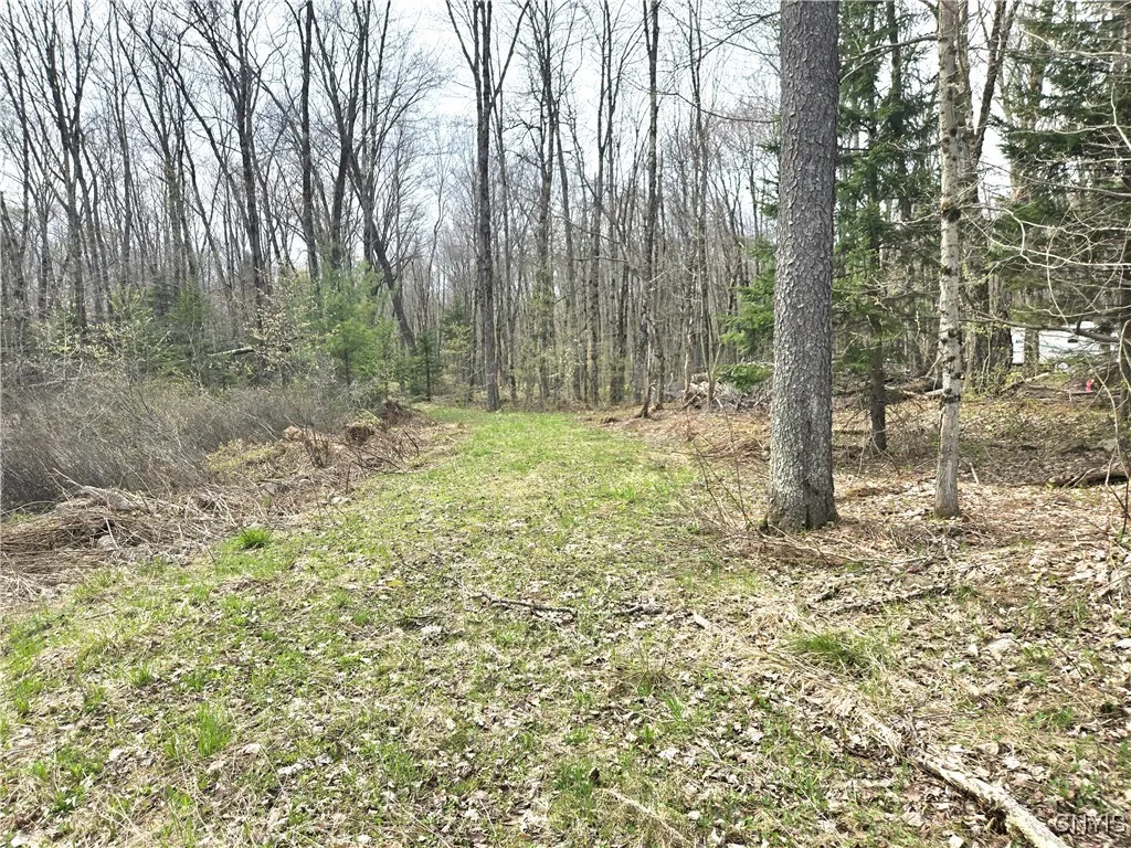 Property at 4023 County Route 17, Redfield, NY 13493
